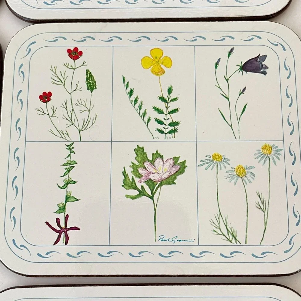 Vintage Jason Drink Coasters Flower Box Cork Backed Rectangle Set 6‎ New Zealand